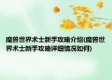 魔兽世界术士新手攻略介绍(魔兽世界术士新手攻略详细情况如何)