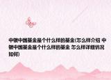 中银中国基金是个什么样的基金(怎么样介绍 中银中国基金是个什么样的基金 怎么样详细情况如何)