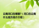 云南河口在哪里?（河口在云南什么地方简介介绍）
