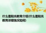 什么是阳光教育介绍(什么是阳光教育详细情况如何)