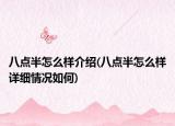 八点半怎么样介绍(八点半怎么样详细情况如何)