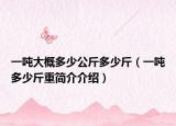 一吨大概多少公斤多少斤（一吨多少斤重简介介绍）