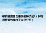 柳树是靠什么来传播种子的?（柳树靠什么传播种子简介介绍）