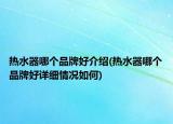 热水器哪个品牌好介绍(热水器哪个品牌好详细情况如何)