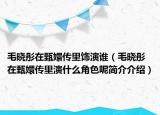 毛晓彤在甄嬛传里饰演谁（毛晓彤在甄嬛传里演什么角色呢简介介绍）