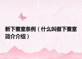 新下蚕室条例（什么叫做下蚕室简介介绍）