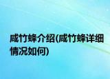 咸竹蜂介绍(咸竹蜂详细情况如何)