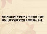 欲把西湖比西子中的西子什么意思（欲把西湖比西子的西子是什么意思简介介绍）