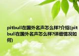 pitbull在国外名声怎么样?介绍(pitbull在国外名声怎么样?详细情况如何)