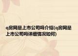 q房网是上市公司吗介绍(q房网是上市公司吗详细情况如何)
