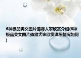 6种极品美女图片值得大家欣赏介绍(6种极品美女图片值得大家欣赏详细情况如何)
