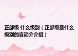正部级 什么级别（正部级是什么级别的官简介介绍）