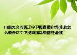 电脑怎么收看辽宁卫视直播介绍(电脑怎么收看辽宁卫视直播详细情况如何)
