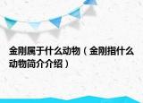 金刚属于什么动物（金刚指什么动物简介介绍）