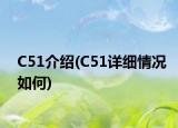 C51介绍(C51详细情况如何)