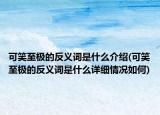 可笑至极的反义词是什么介绍(可笑至极的反义词是什么详细情况如何)