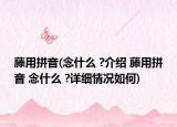 藤用拼音(念什么 ?介绍 藤用拼音 念什么 ?详细情况如何)