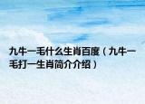 九牛一毛什么生肖百度（九牛一毛打一生肖简介介绍）