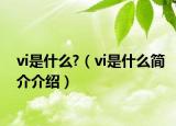 vi是什么?（vi是什么简介介绍）