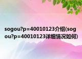 sogou?p=40010123介绍(sogou?p=40010123详细情况如何)