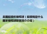 美国超级杯橄榄球（超级碗是什么 国家橄榄球联盟简介介绍）