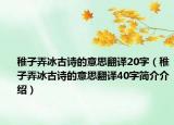 稚子弄冰古诗的意思翻译20字（稚子弄冰古诗的意思翻译40字简介介绍）