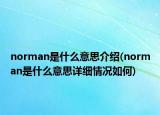 norman是什么意思介绍(norman是什么意思详细情况如何)