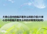 大家心目中的临沂是怎么样的介绍(大家心目中的临沂是怎么样的详细情况如何)