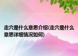 走穴是什么意思介绍(走穴是什么意思详细情况如何)
