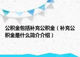 公积金包括补充公积金（补充公积金是什么简介介绍）