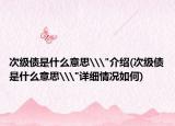 次级债是什么意思\