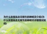 为什么张楚岚会无根生的神明灵介绍(为什么张楚岚会无根生的神明灵详细情况如何)