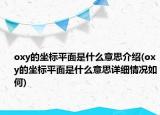 oxy的坐标平面是什么意思介绍(oxy的坐标平面是什么意思详细情况如何)