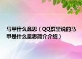 马甲什么意思（QQ群里说的马甲是什么意思简介介绍）