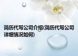简历代写公司介绍(简历代写公司详细情况如何)