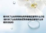 春天来了山也青青树也青青春雨后面写什么介绍(春天来了山也青青树也青青春雨后面写什么详细情况如何)