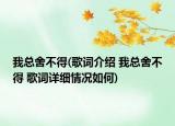 我总舍不得(歌词介绍 我总舍不得 歌词详细情况如何)