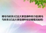 骑马与砍杀2已出大家觉得咋样介绍(骑马与砍杀2已出大家觉得咋样详细情况如何)
