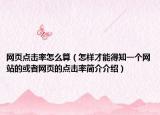网页点击率怎么算（怎样才能得知一个网站的或者网页的点击率简介介绍）