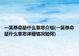 一笑悬命是什么意思介绍(一笑悬命是什么意思详细情况如何)