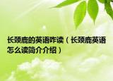 长颈鹿的英语咋读（长颈鹿英语怎么读简介介绍）