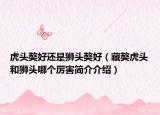 虎头獒好还是狮头獒好（藏獒虎头和狮头哪个厉害简介介绍）