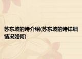 苏东坡的诗介绍(苏东坡的诗详细情况如何)