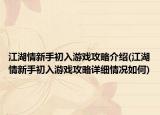 江湖情新手初入游戏攻略介绍(江湖情新手初入游戏攻略详细情况如何)
