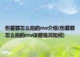 伤爱罪怎么拍的mv介绍(伤爱罪怎么拍的mv详细情况如何)