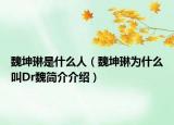魏坤琳是什么人（魏坤琳为什么叫Dr魏简介介绍）