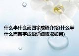 什么半什么而四字成语介绍(什么半什么而四字成语详细情况如何)