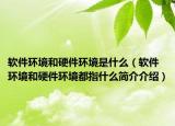 软件环境和硬件环境是什么（软件环境和硬件环境都指什么简介介绍）