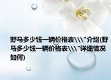 野马多少钱一辆价格表\