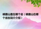 峨眉山是在哪个省（峨眉山在哪个省份简介介绍）